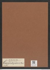 Craspedoporus sp. (de-Toni-Nr.: Genus 180) Zeichnungen Sammlung Grunow Mappe 04402 (Herbarium_W_Grunow_drawings_Folder_04402)